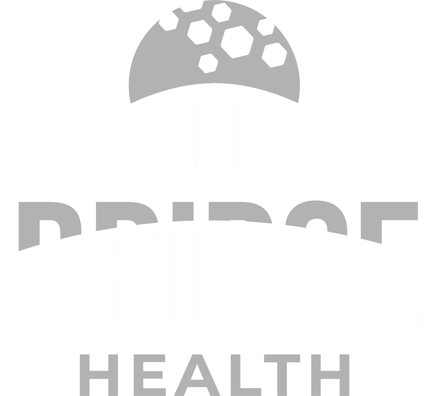 Bridge Health